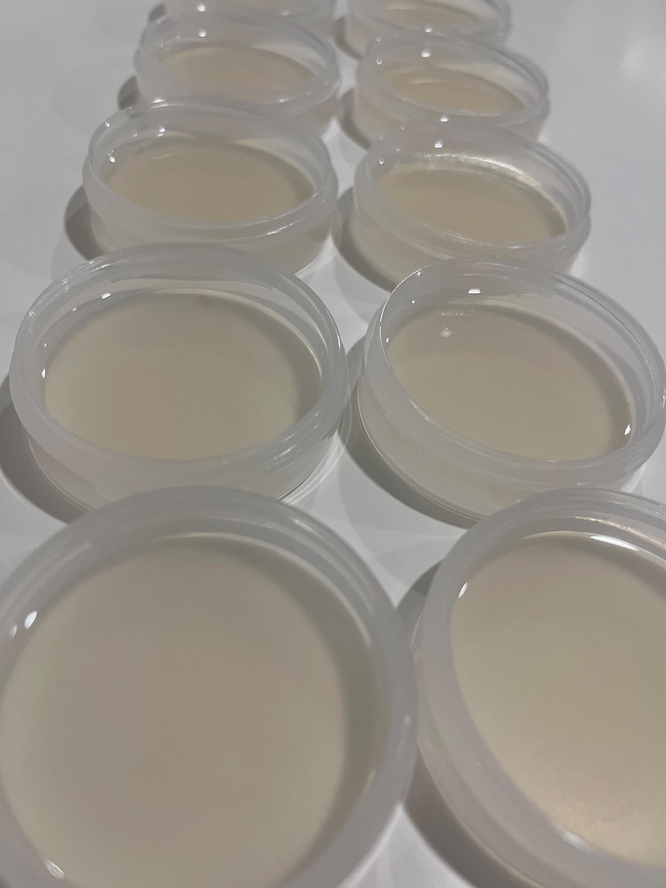 Pre-Poured Agar Cups for Mycology | Screw Top | Sterile MEA | Budget Friendly | Beginner Friendly | UK - Thumbnail 2