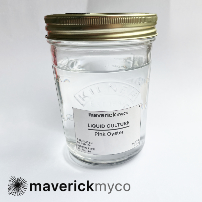 Pre-Sterilised Liquid Culture Jars (2 pack)