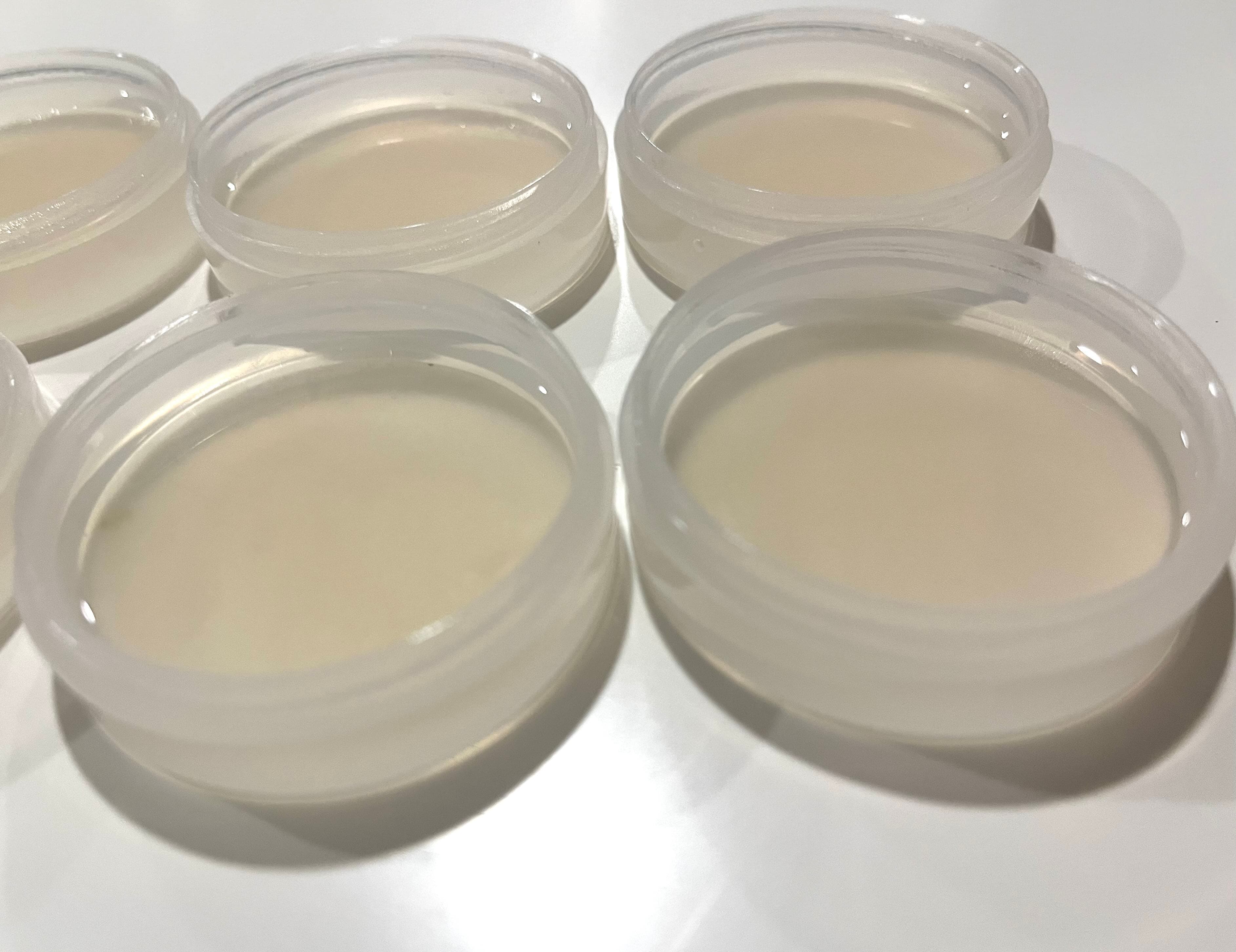 Agar plate showing mycelial growth