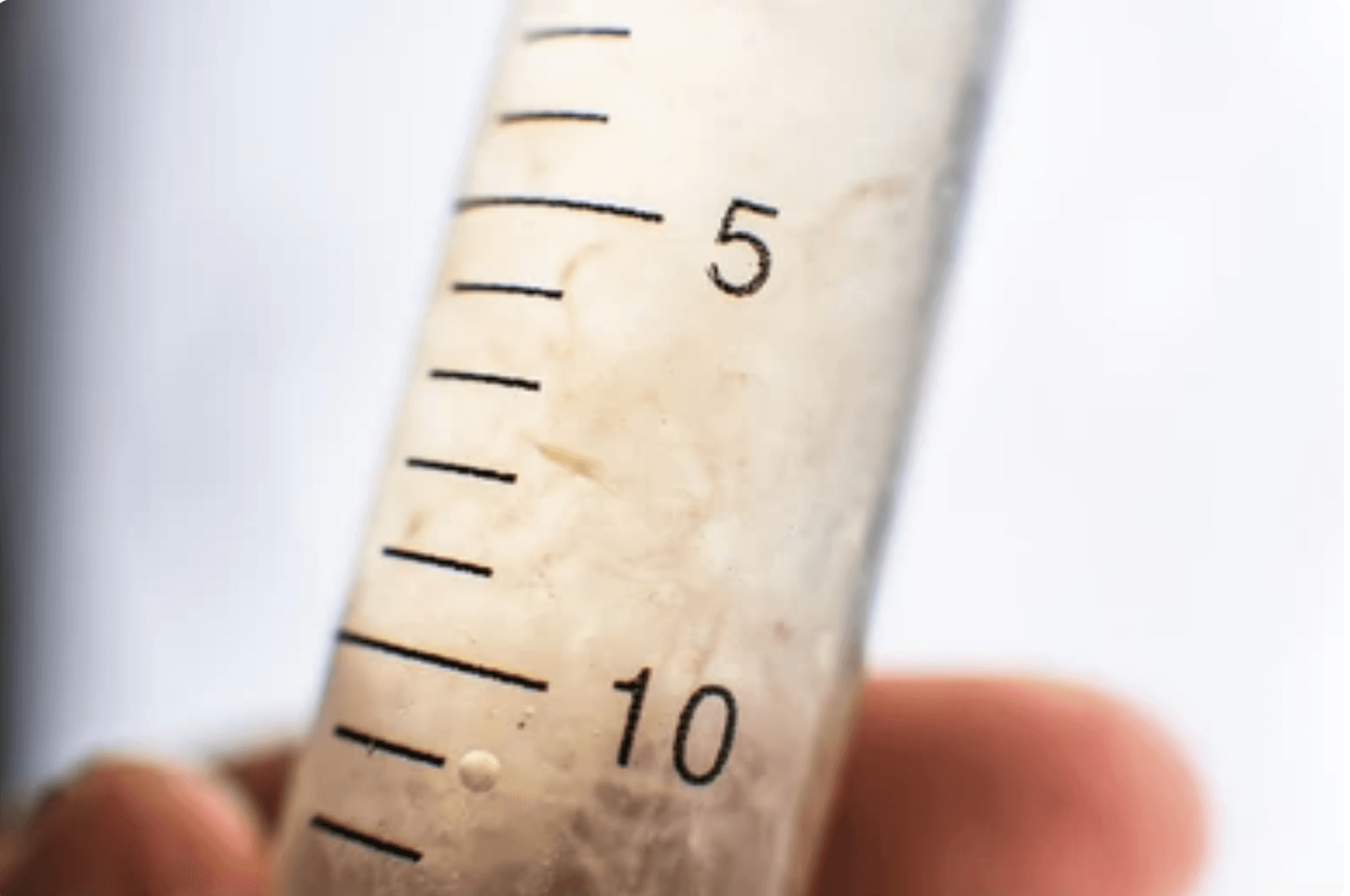 Close up of healthy liquid culture showing mycelial strands